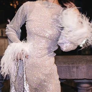 Sheer dress with feather sleeve